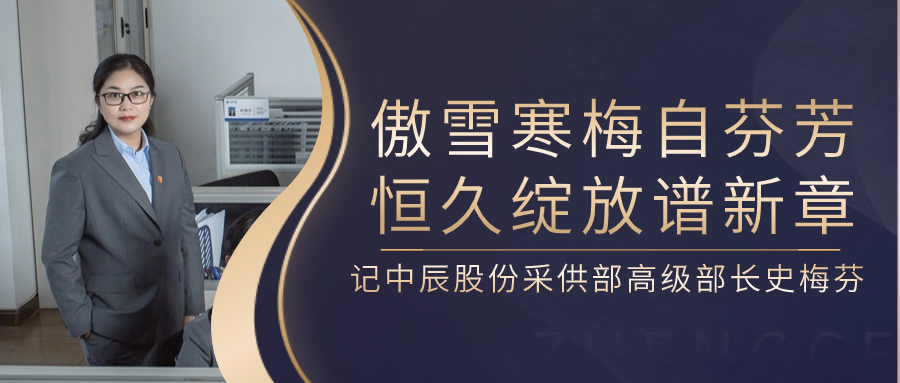 傲雪寒梅自芬芳，恒久绽放谱新章——记js345线路检测股份采供部高级部长史梅芬